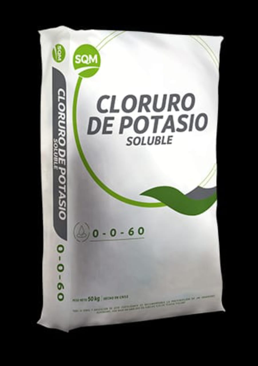 cloruro